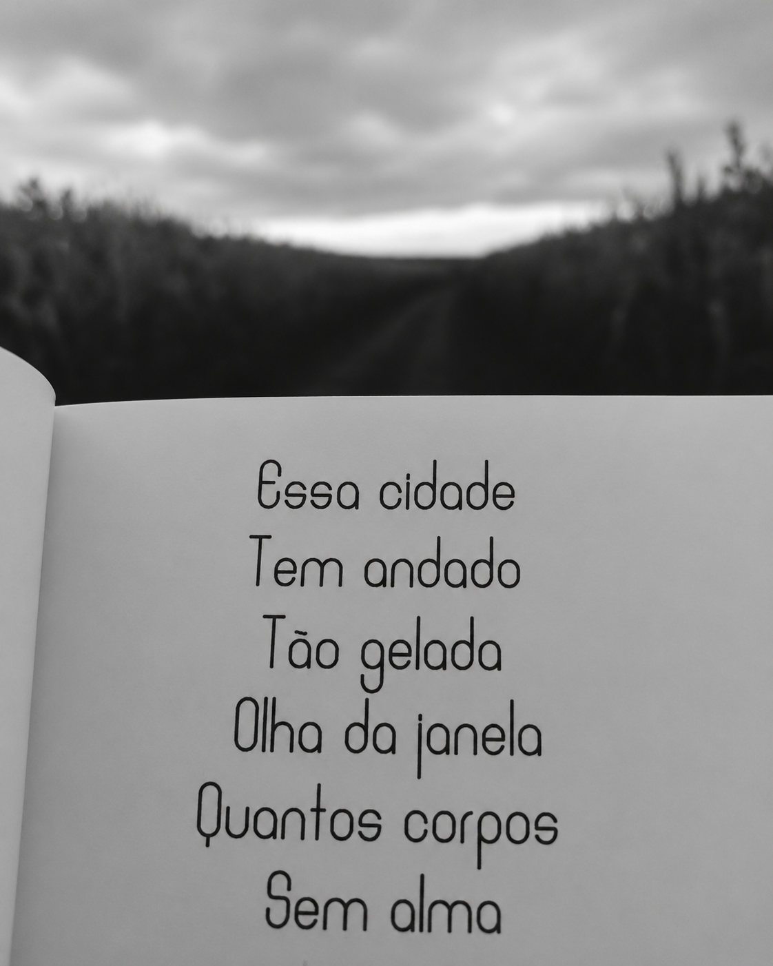 Poema: Essa cidade tem andado tão gelada