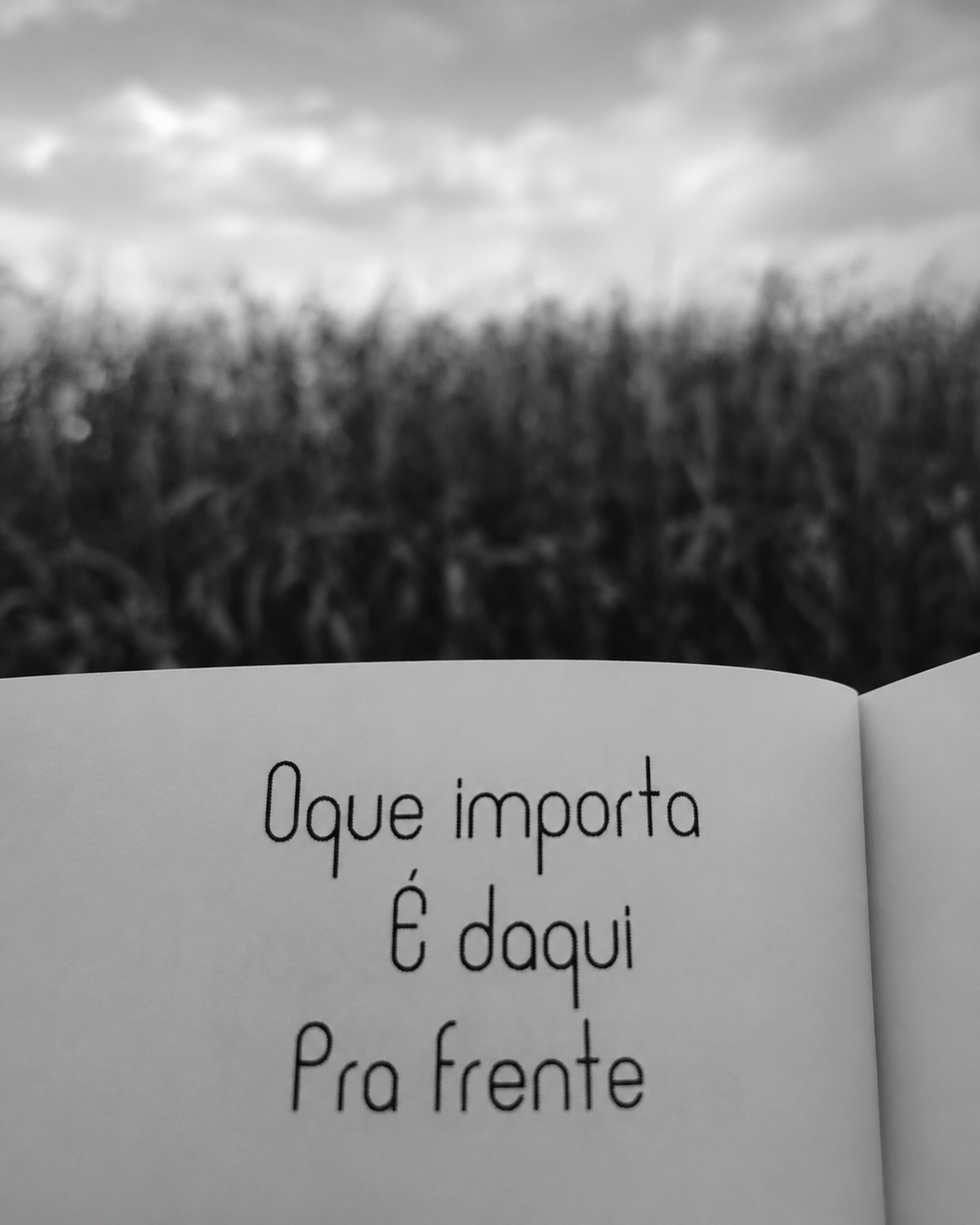 Poema: O que importa é daqui pra frente