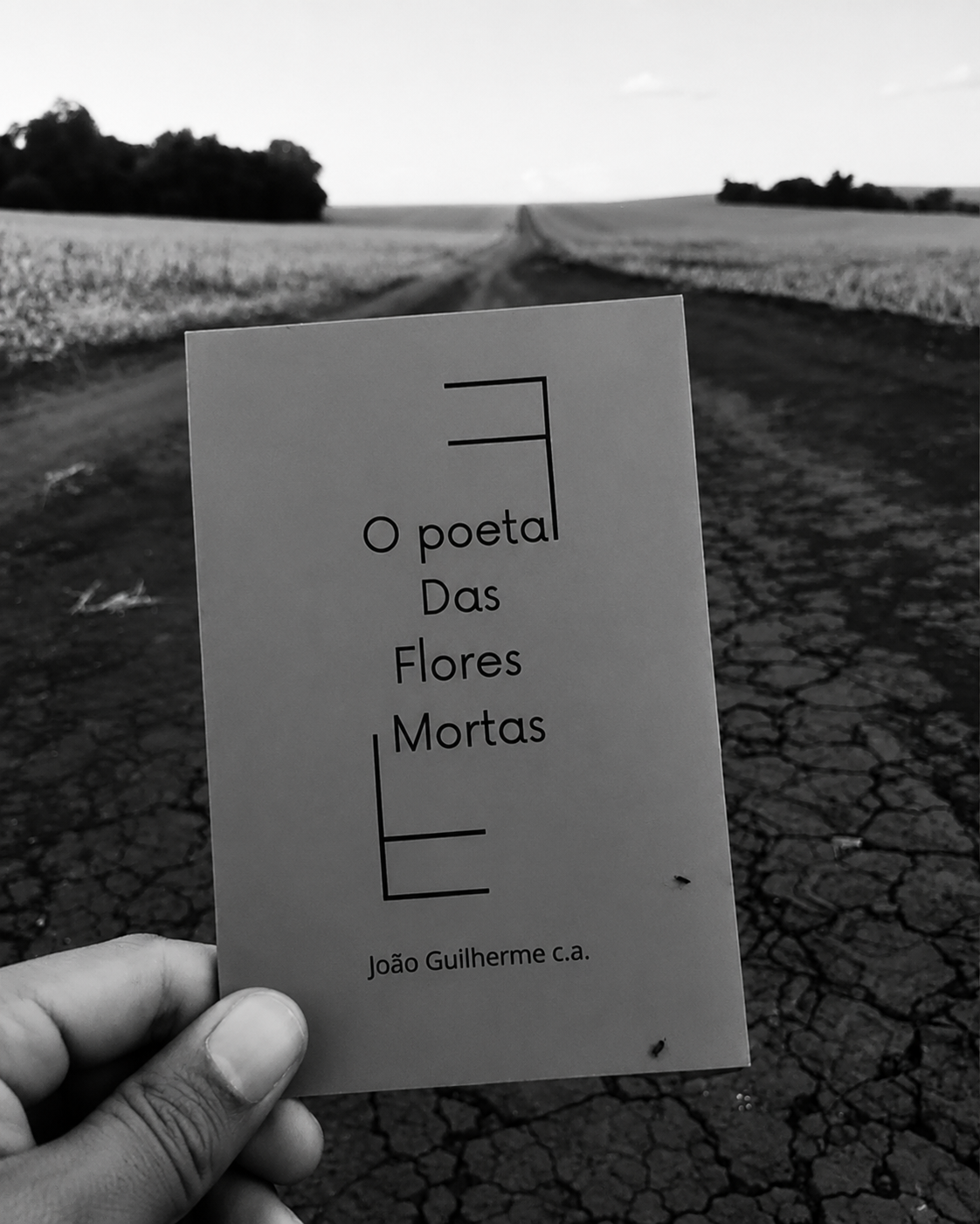 Capa do livro em preto e branco sobre estrada de terra
