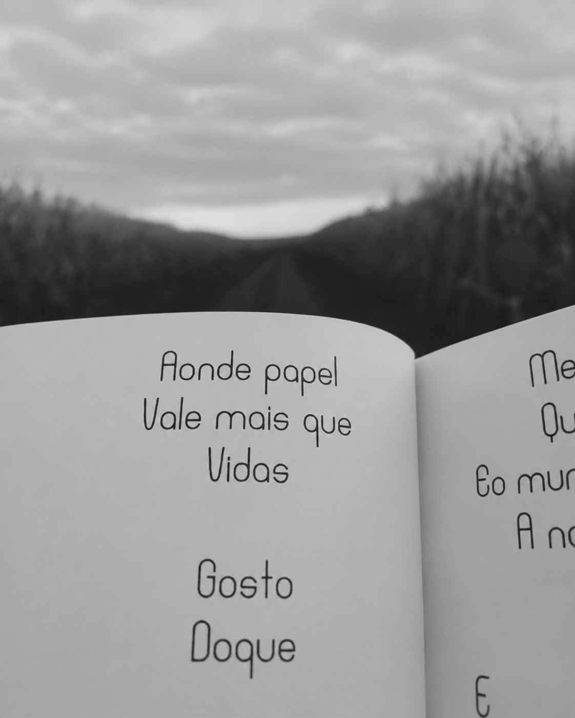 Poema: Aonde papel vale mais que vidas
