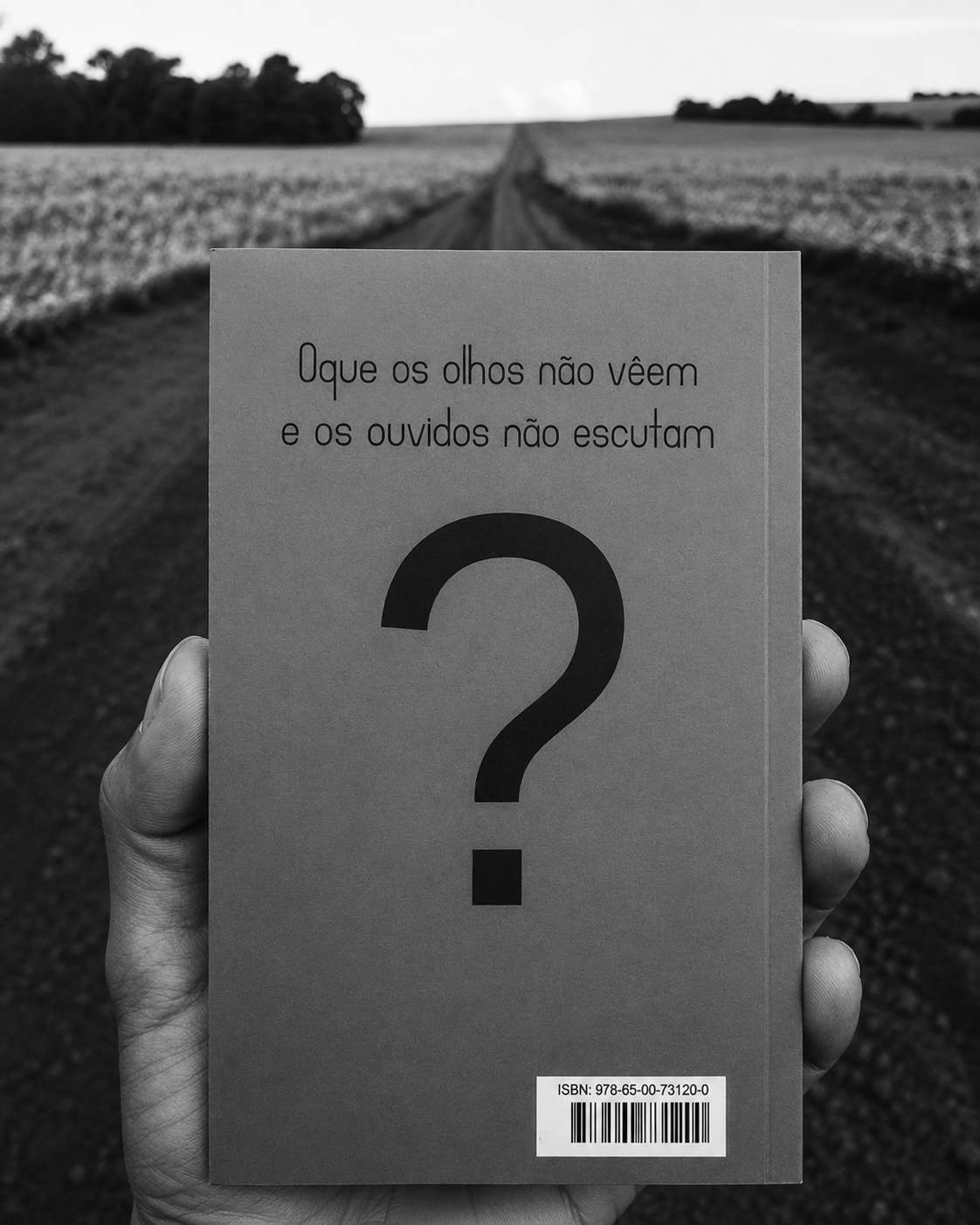 Contracapa do livro em preto e branco sobre estrada de terra